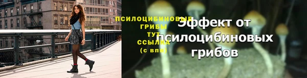 метадон Бородино