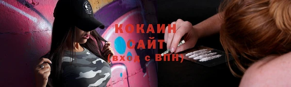 шишки Бугульма