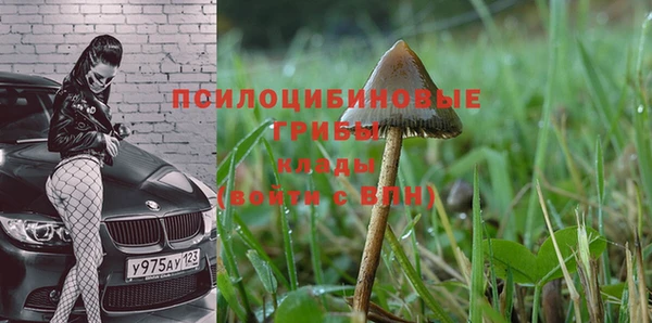 шишки Бугульма