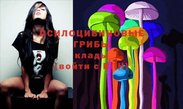 mdpv Бронницы