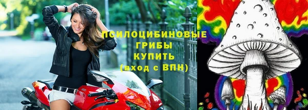 mdpv Бронницы