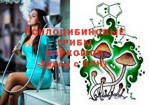 mdpv Бронницы