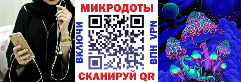что такое   Мончегорск  Псилоцибиновые грибы Magic Shrooms 
